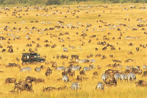 12 Days Uganda, Kenya and Tanzania safari